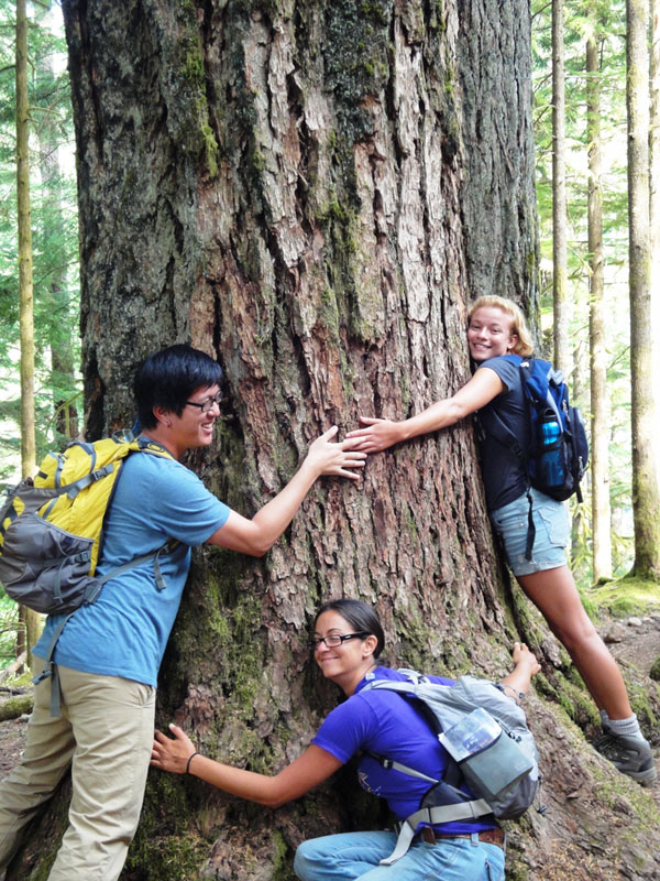 hugging trees