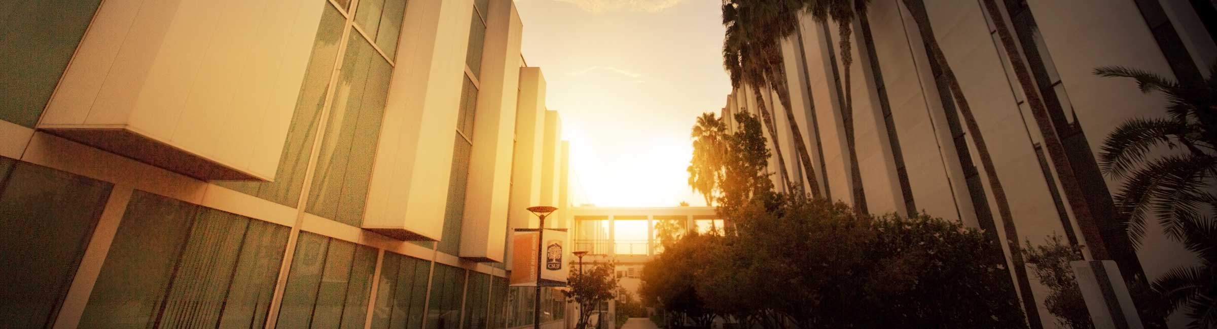 Page banner, decorative page element