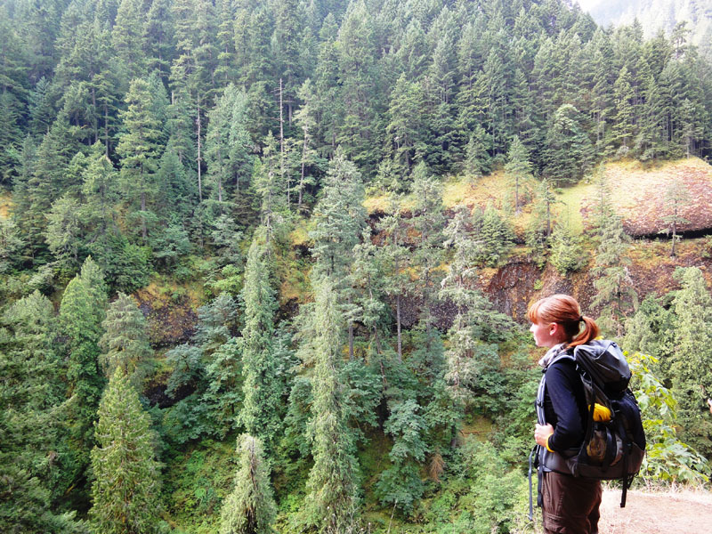 person hiking, trees is background