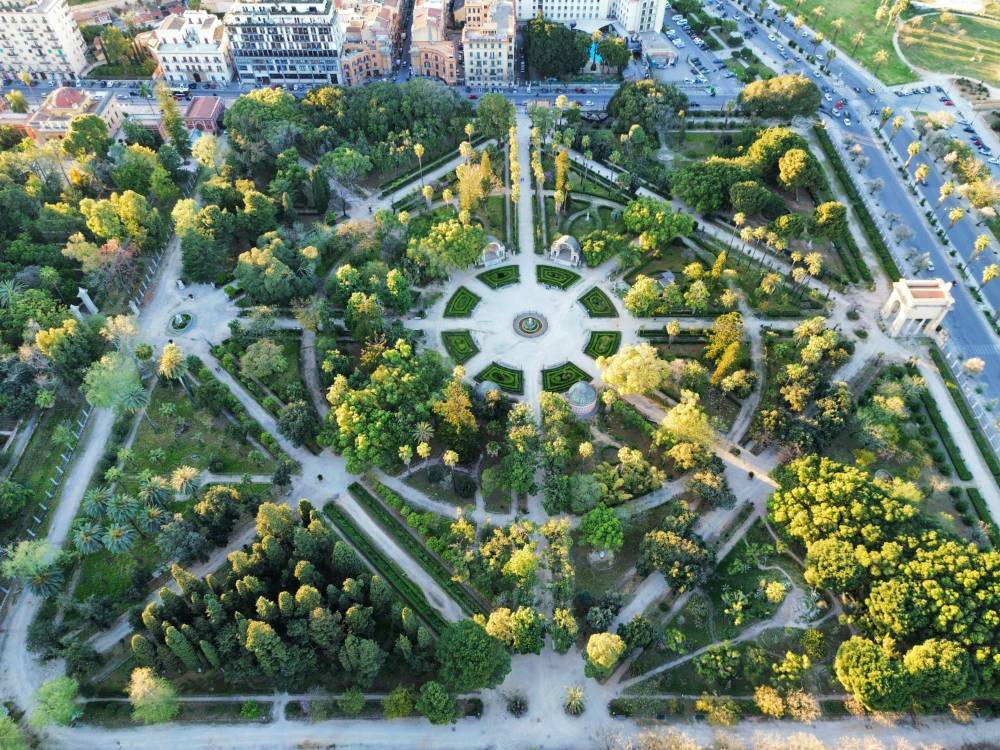 Aerial view of a park